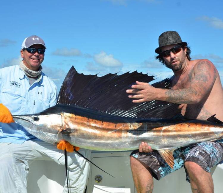 Offshore sailfish trophy